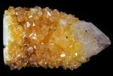 Sunshine Cactus Quartz Crystal - South Africa #115139-1